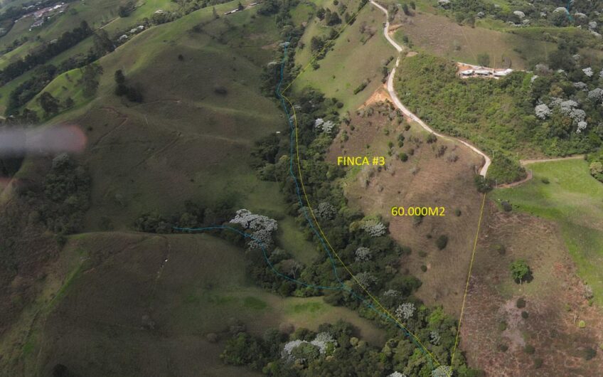 Excelente oportunidad de inversión – Fincas en Venta Salento, Quindío