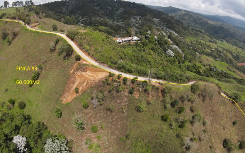 Excelente oportunidad de inversión – Fincas en Venta Salento, Quindío