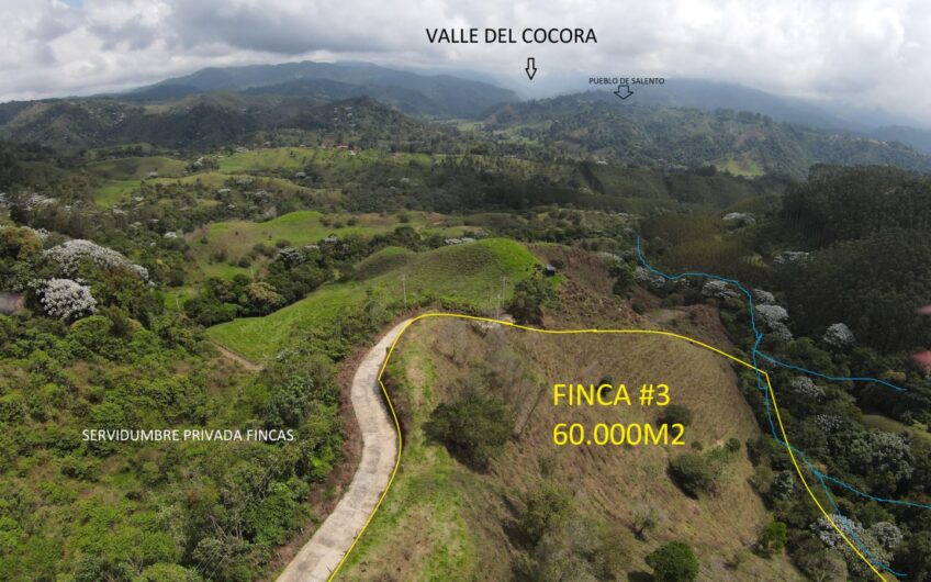 Excelente oportunidad de inversión – Fincas en Venta Salento, Quindío