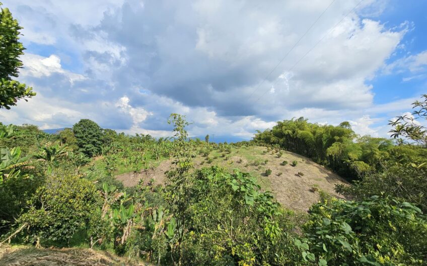 Finca Para la venta, Circasia- Quindio