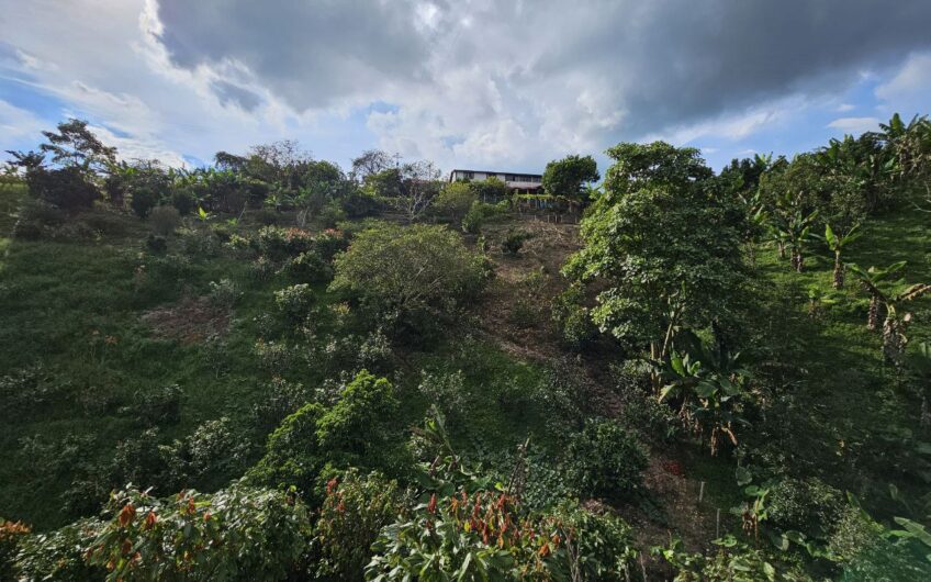 Finca Para la venta, Circasia- Quindio