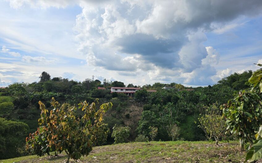 Finca Para la venta, Circasia- Quindio