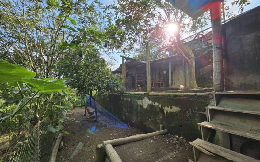 Finca Para la venta, Circasia- Quindio