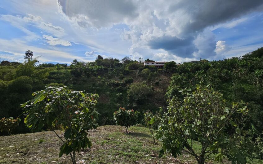 Finca Para la venta, Circasia- Quindio