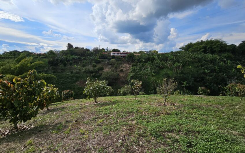 Finca Para la venta, Circasia- Quindio