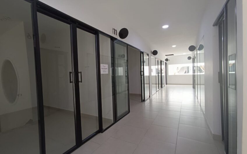 Locales para Alquiler en sector Laureles de Armenia