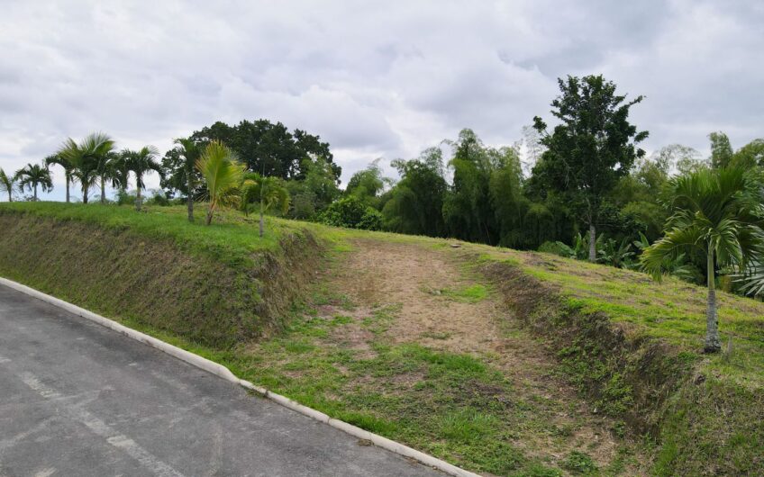 Lote para la Venta en la Tebaida en conjunto cerrado