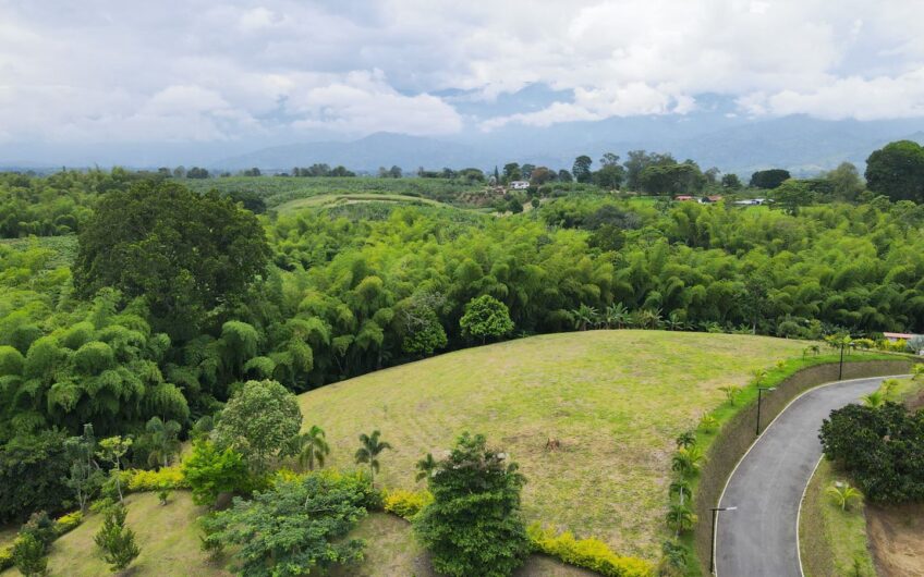 Lote para la Venta en la Tebaida en conjunto cerrado