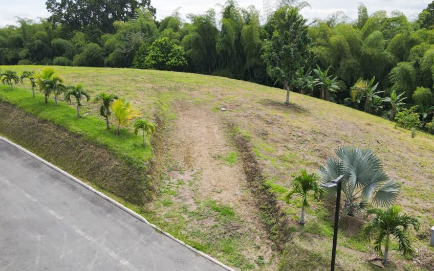 Lote para la Venta en la Tebaida en conjunto cerrado