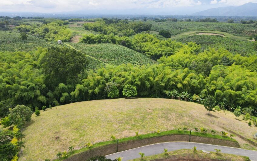 Lote para la Venta en la Tebaida en conjunto cerrado