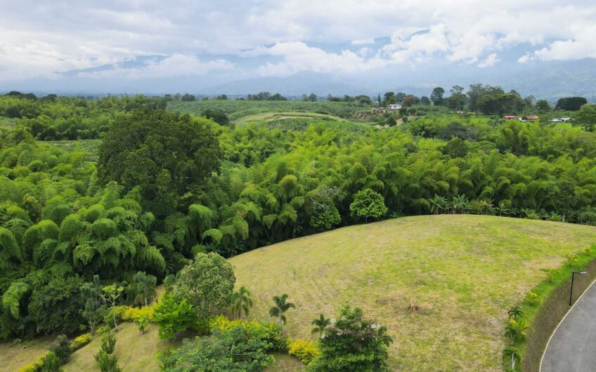 Lote para la Venta en la Tebaida en conjunto cerrado