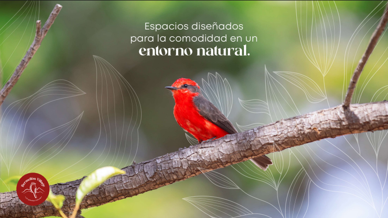 Espectacular Proyecto de Villas Campestres, Apartasuites y Locales Comerciales Vía al Club Campestre de Armenia