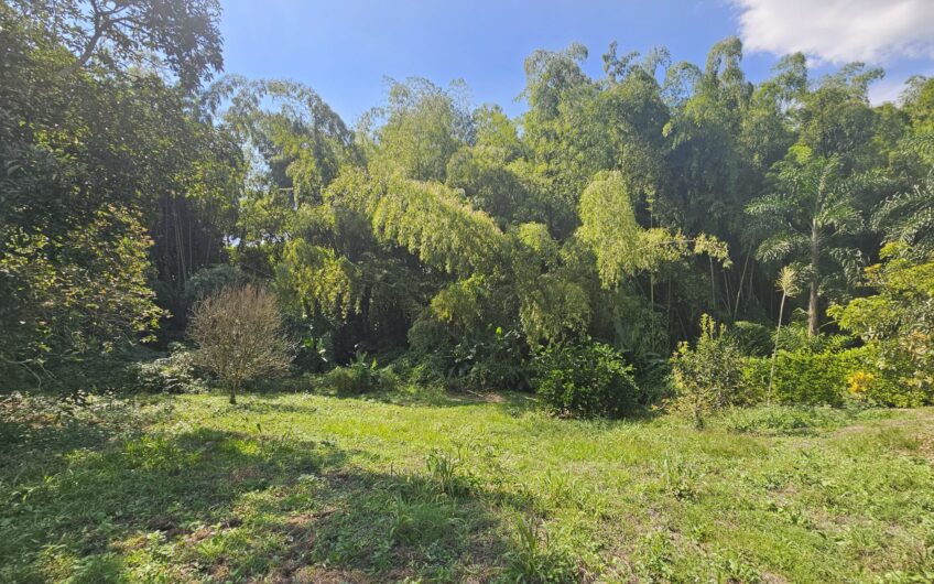 Lote para la Venta en Urbanización Campestre Portachuelo – La Tebaida, Quindío