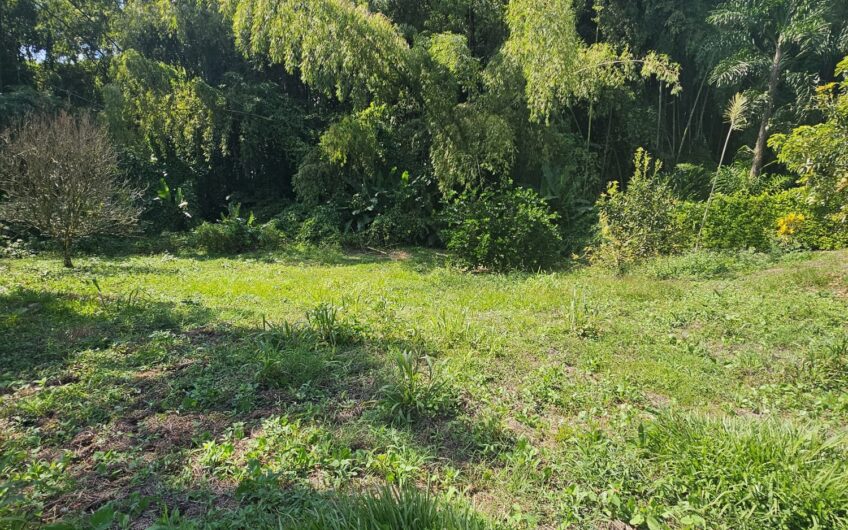 Lote para la Venta en Urbanización Campestre Portachuelo – La Tebaida, Quindío