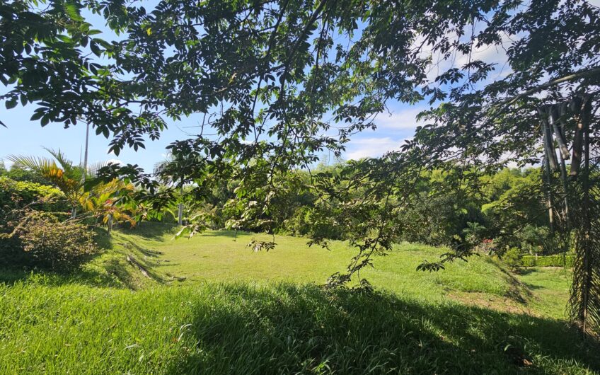 Lote para la Venta en Urbanización Campestre Portachuelo – La Tebaida, Quindío
