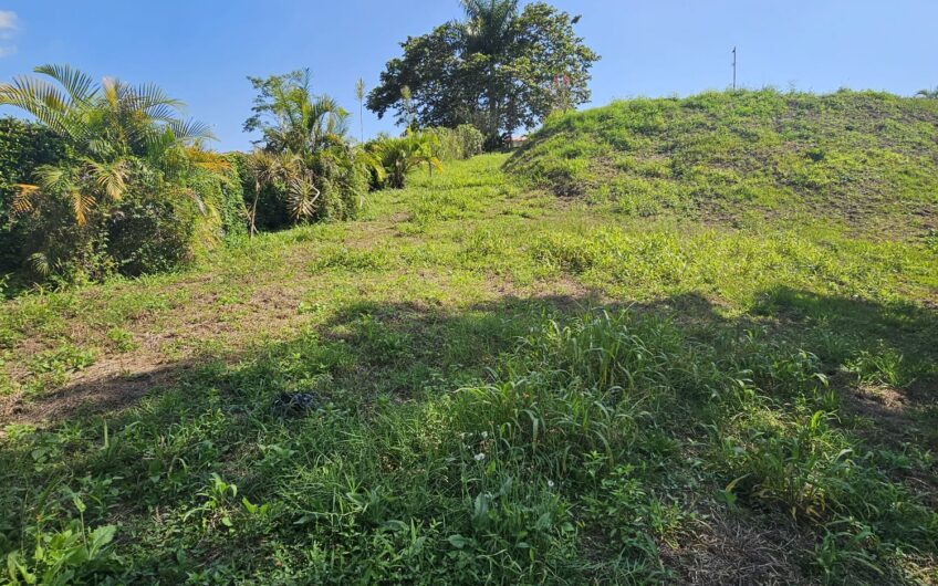 Lote para la Venta en Urbanización Campestre Portachuelo – La Tebaida, Quindío