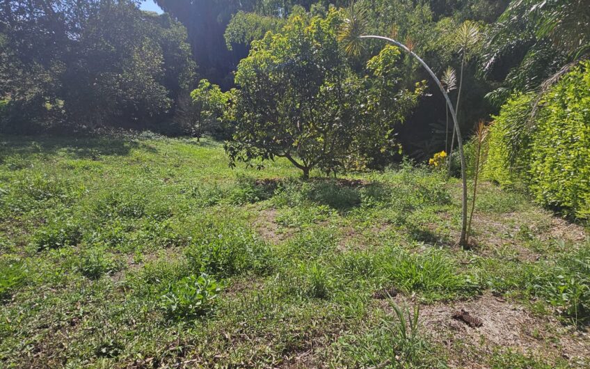 Lote para la Venta en Urbanización Campestre Portachuelo – La Tebaida, Quindío