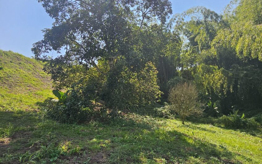 Lote para la Venta en Urbanización Campestre Portachuelo – La Tebaida, Quindío