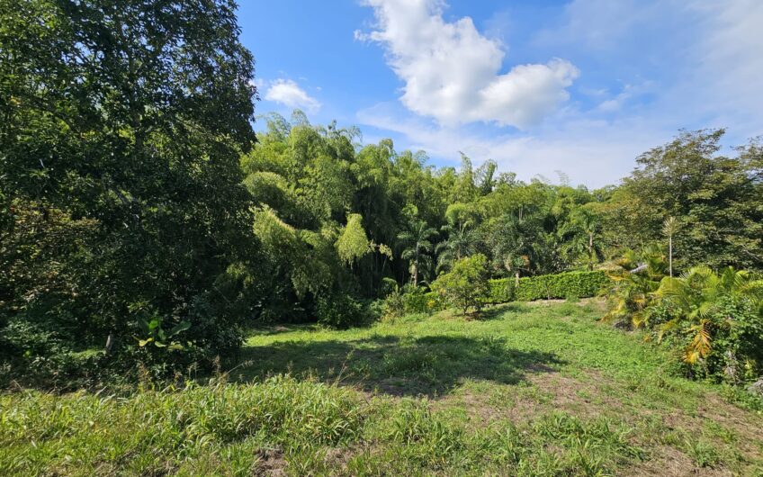 Lote para la Venta en Urbanización Campestre Portachuelo – La Tebaida, Quindío