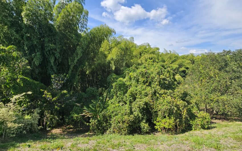 Lote para la Venta en Urbanización Campestre Portachuelo – La Tebaida, Quindío