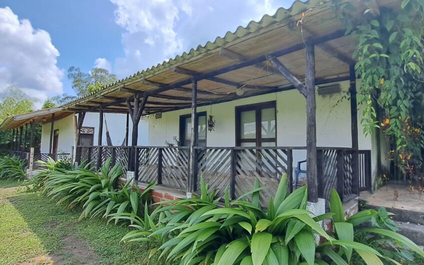 Finca para la Venta en la Tebaida – Quindío