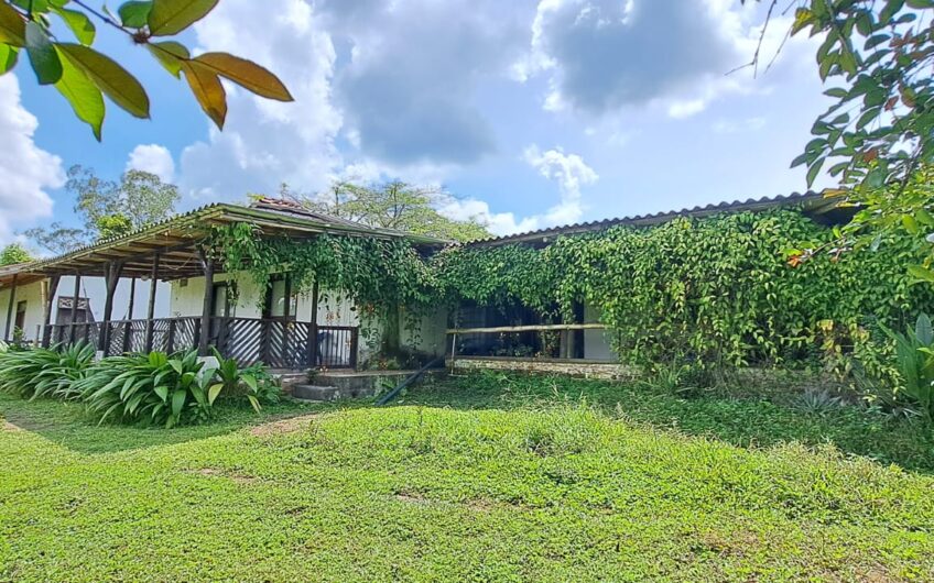 Finca para la Venta en la Tebaida – Quindío