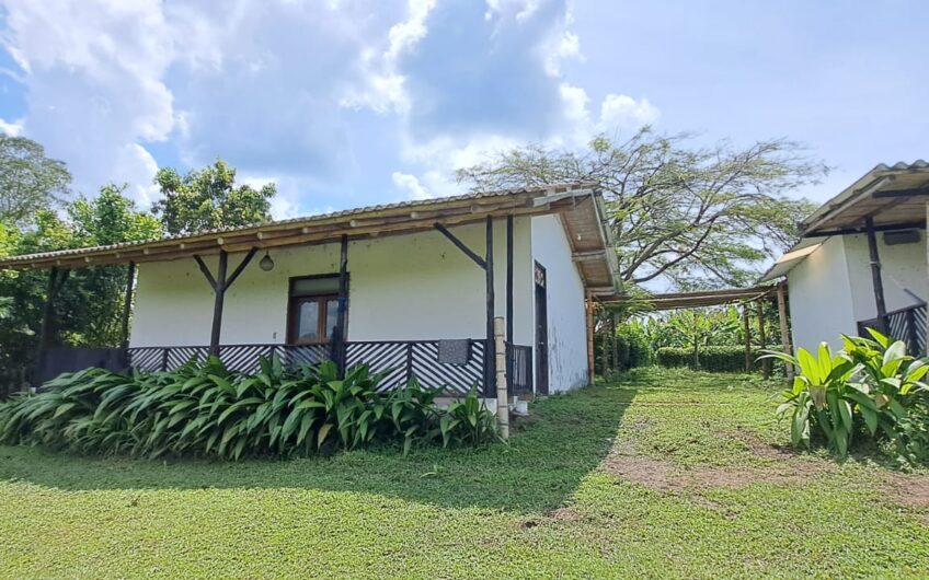 Finca para la Venta en la Tebaida – Quindío