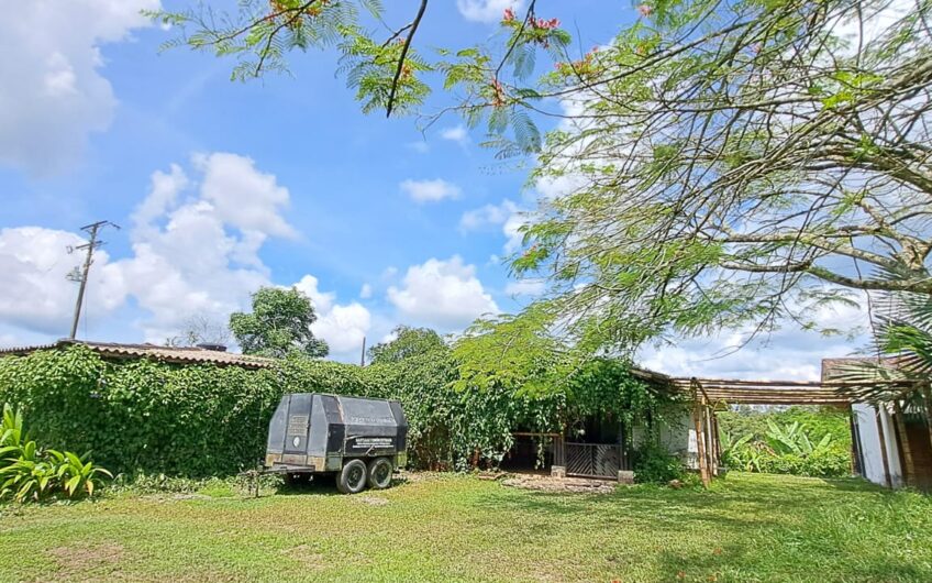Finca para la Venta en la Tebaida – Quindío