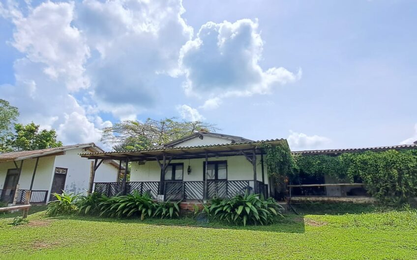 Finca para la Venta en la Tebaida – Quindío
