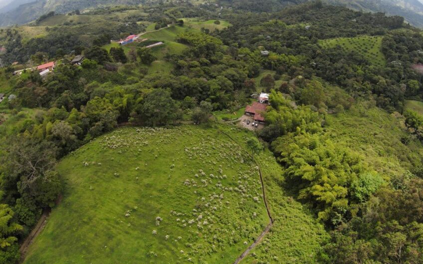 Finca para la Venta en Salento, Quindío
