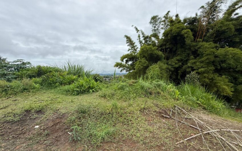 Lote Urbano a 3 minutos del Parque de Circasia, Quindío