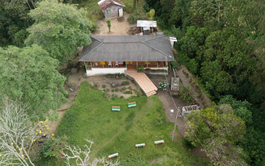 Invierte en el Futuro de Circasia – Lote en Zona de Expansión con Alto Potencial