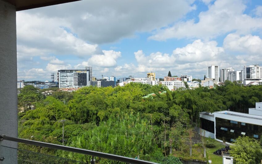 Apartamento para la Venta en la Avenida Centenario al norte de Armenia