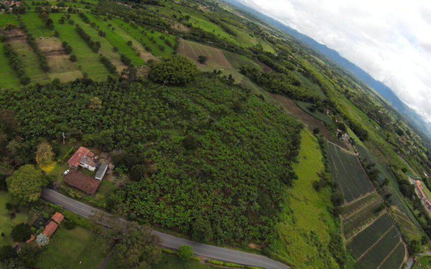 Finca Sobre Corredor Vial Turístico Sector Parque del Café – Quindío