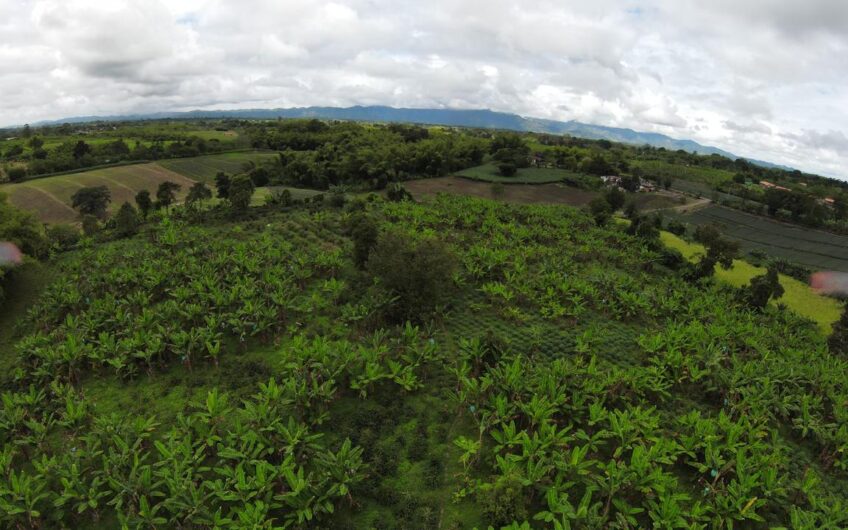 Finca Sobre Corredor Vial Turístico Sector Parque del Café – Quindío
