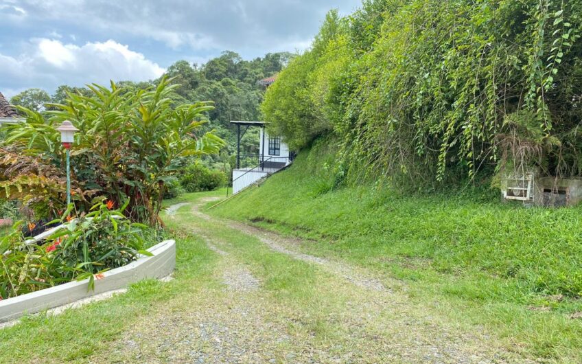 Apartamento para Alquiler Vía Circasia en Condominio Campestre