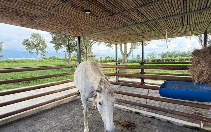Exclusiva Casa Campestre para la Venta en Sector Aeropuerto de Armenia