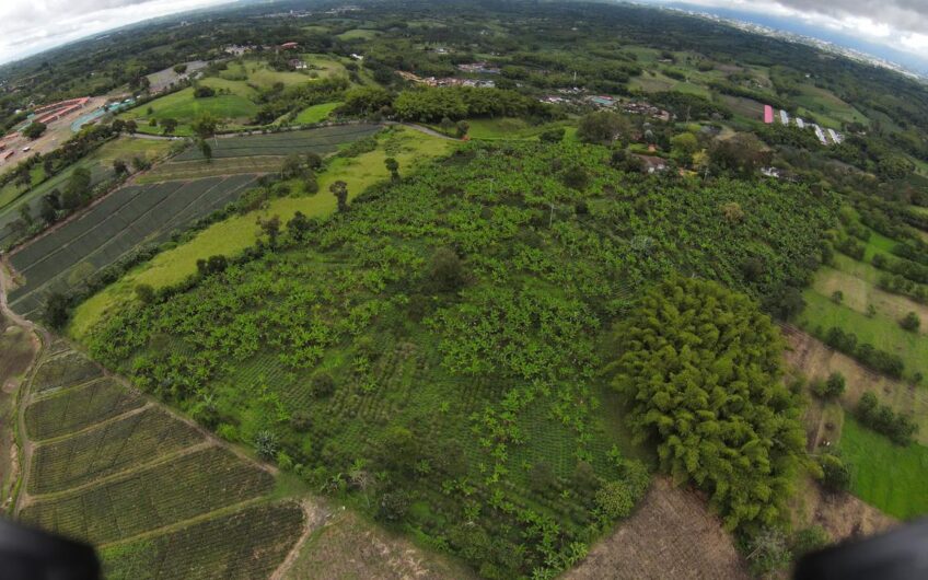 Finca Sobre Corredor Vial Turístico Sector Parque del Café – Quindío