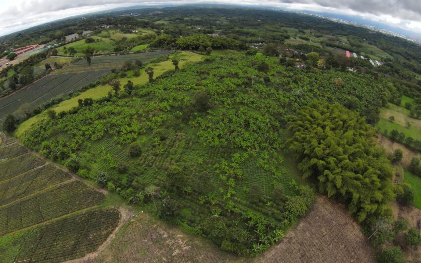Finca Sobre Corredor Vial Turístico Sector Parque del Café – Quindío