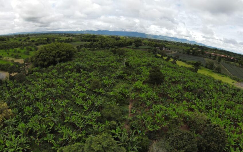 Finca Sobre Corredor Vial Turístico Sector Parque del Café – Quindío