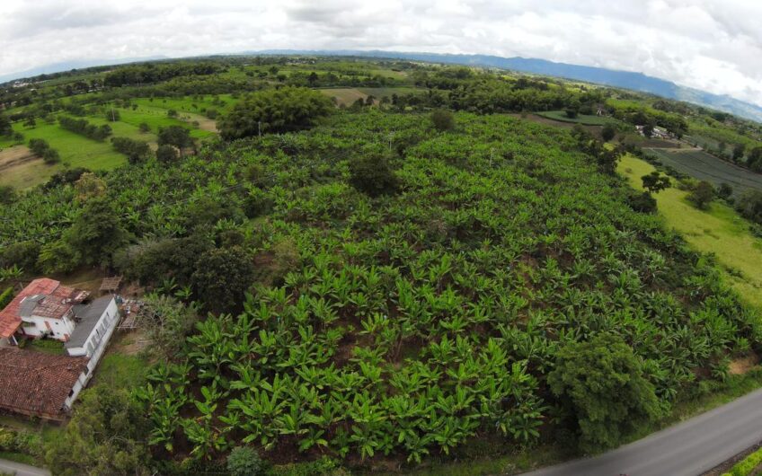 Finca Sobre Corredor Vial Turístico Sector Parque del Café – Quindío
