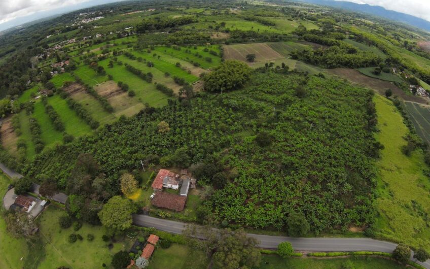 Finca Sobre Corredor Vial Turístico Sector Parque del Café – Quindío