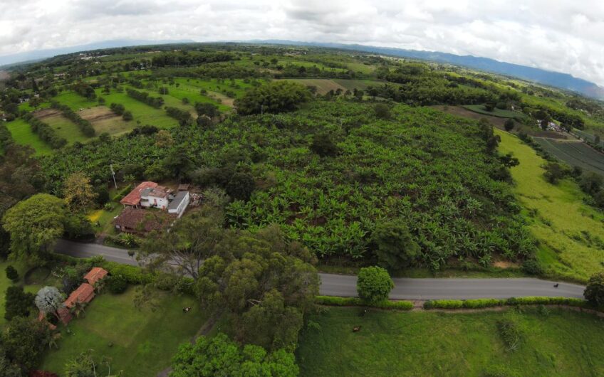 Finca Sobre Corredor Vial Turístico Sector Parque del Café – Quindío
