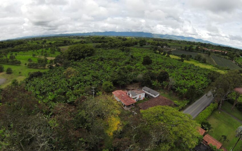 Finca Sobre Corredor Vial Turístico Sector Parque del Café – Quindío