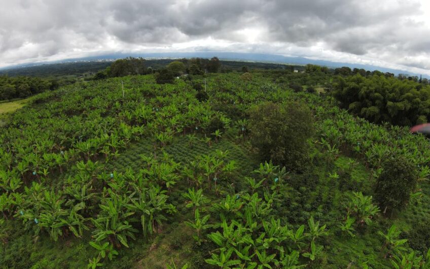 Finca Sobre Corredor Vial Turístico Sector Parque del Café – Quindío