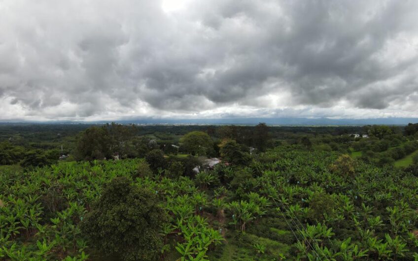 Finca Sobre Corredor Vial Turístico Sector Parque del Café – Quindío