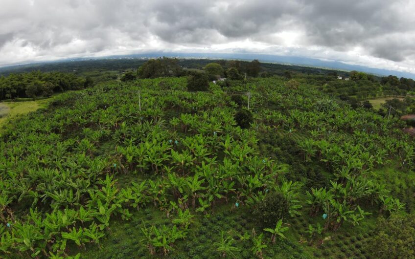 Finca Sobre Corredor Vial Turístico Sector Parque del Café – Quindío