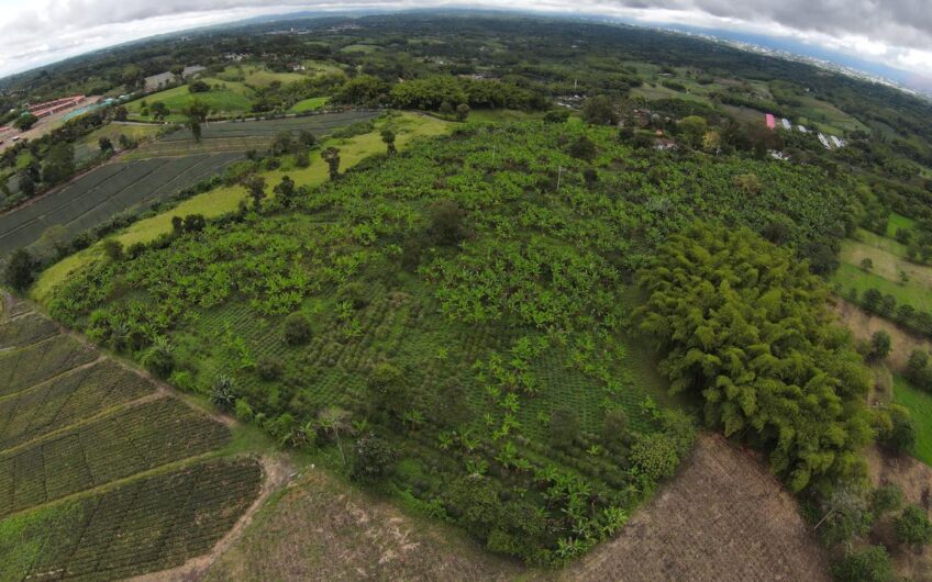 Finca Sobre Corredor Vial Turístico Sector Parque del Café – Quindío