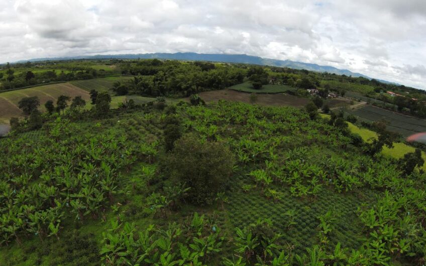 Finca Sobre Corredor Vial Turístico Sector Parque del Café – Quindío