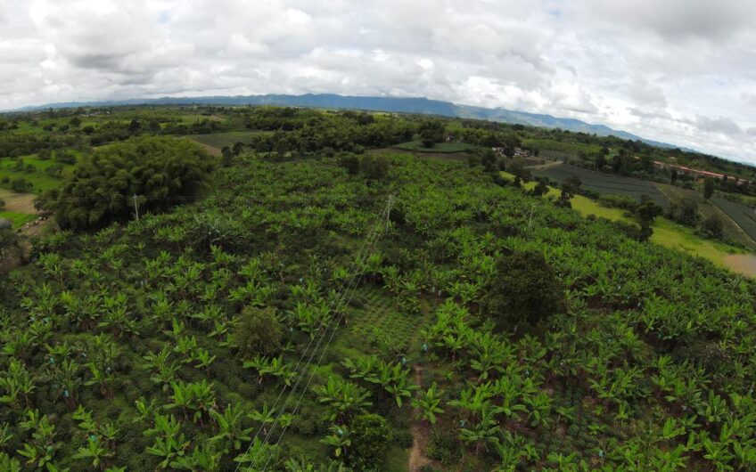 Finca Sobre Corredor Vial Turístico Sector Parque del Café – Quindío